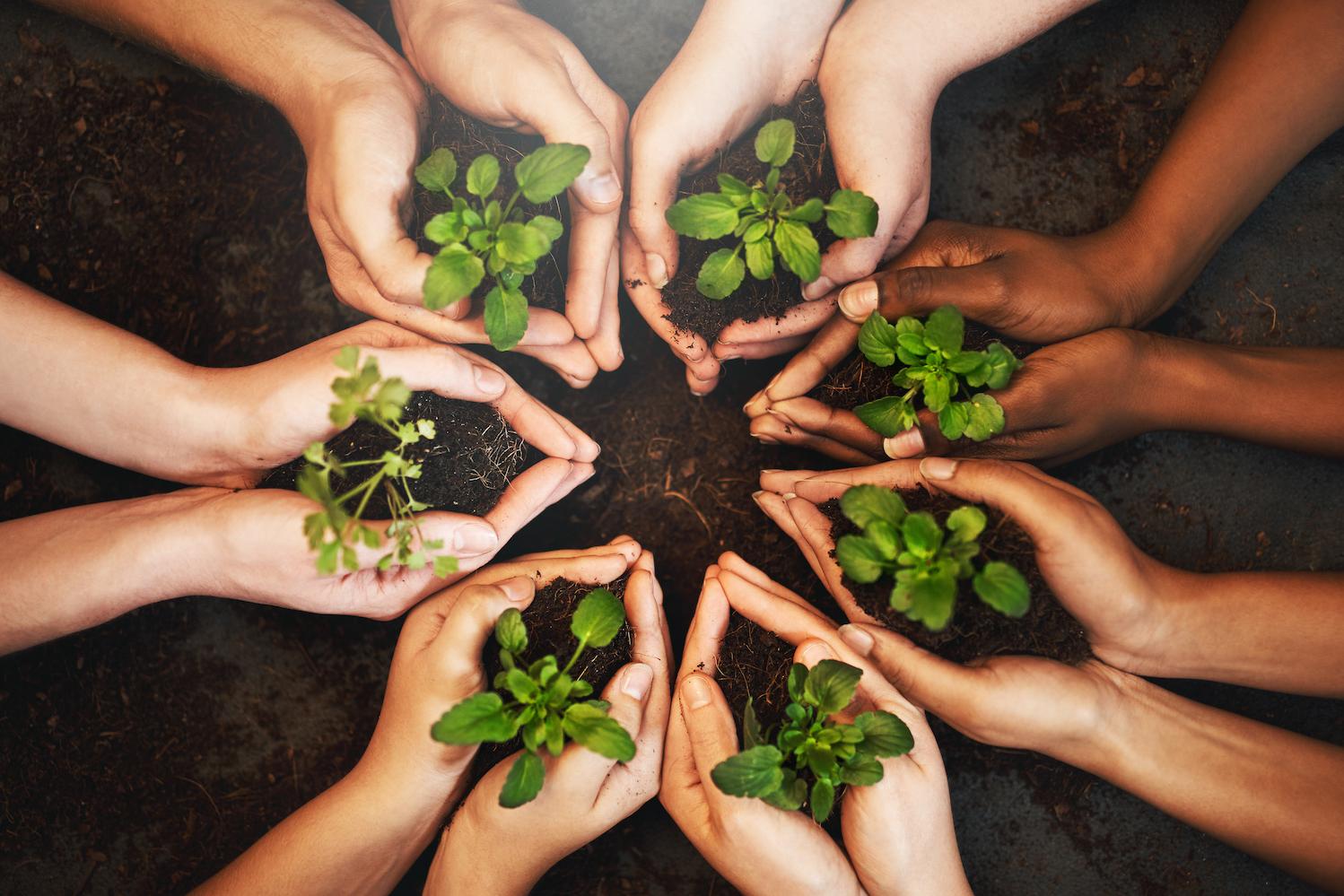Sustainability - Circular Economy - Circular Business